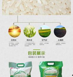 绿色大米爆料方法视频教程,轻松掌握视频爆料技巧  第2张