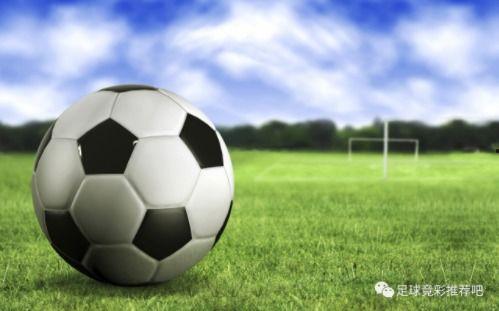 荷兰足球爆料视频大全,揭秘爆料视频大全背后的精彩瞬间